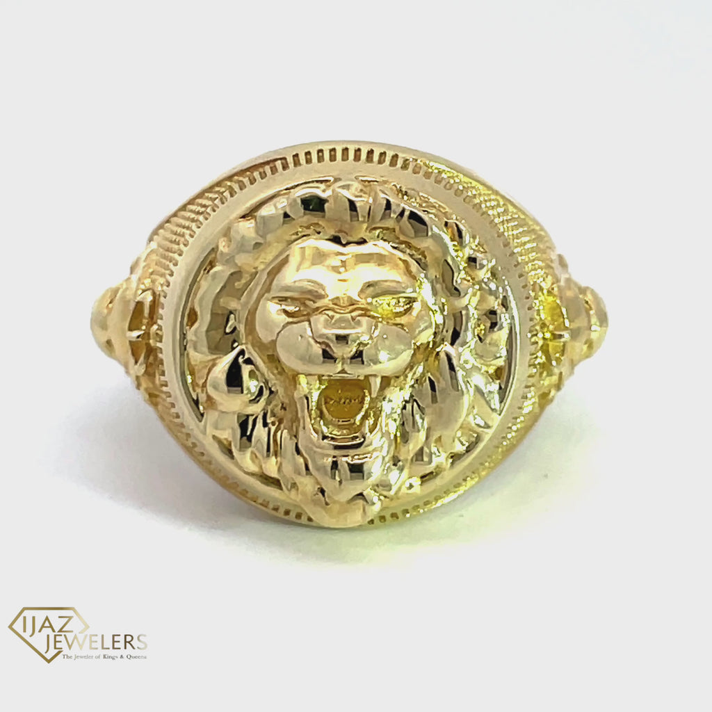 lion ring 5__2023-05-03-15-10-00.mp4